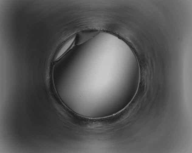 X0000089360677200706291042