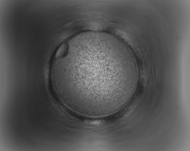 X0000089360679200706291042