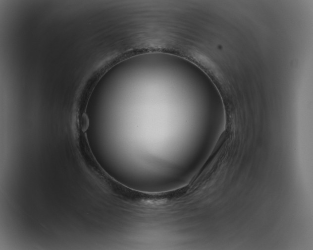 X0000089360680200706291042