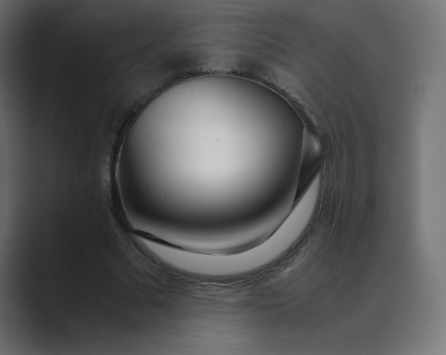 X0000089360681200706291042