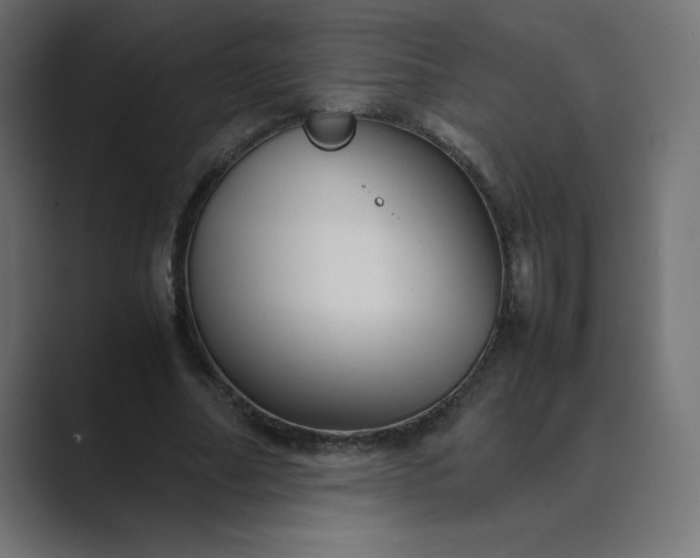 X0000089360682200706291042