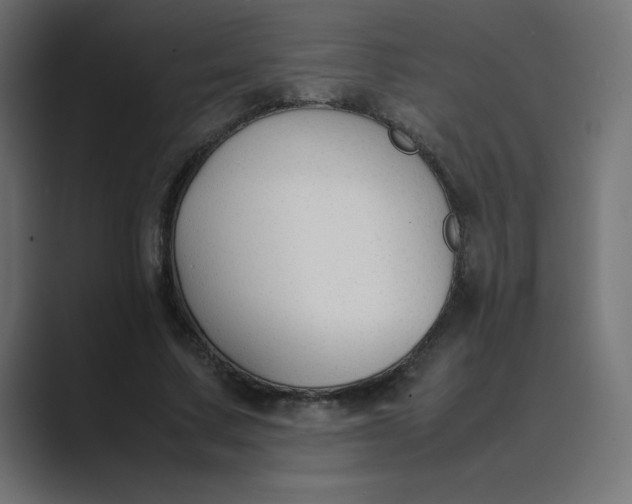 X0000089360683200706291042