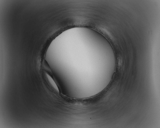 X0000089360684200706291042