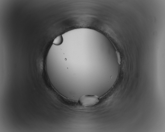 X0000089360685200706291042