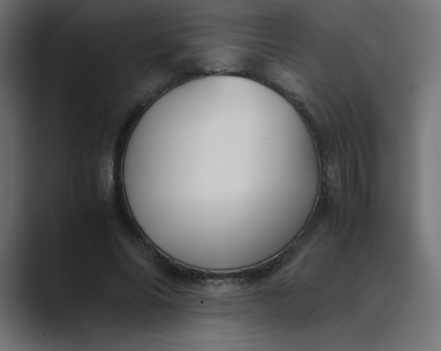 X0000089360686200706291042