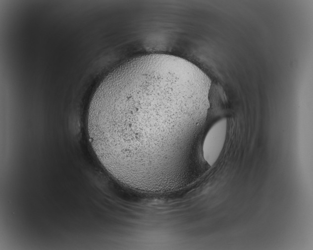 X0000089360687200706291042