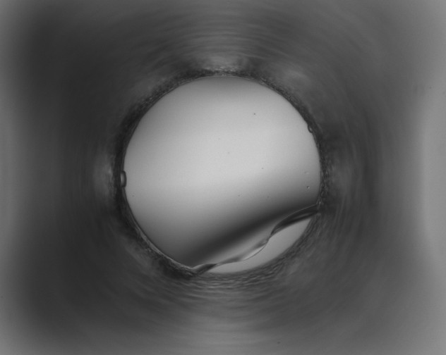 X0000089360688200706291042