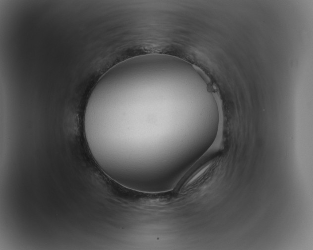 X0000089360689200706291042