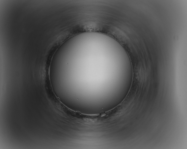 X0000089360690200706291042