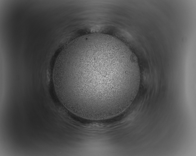 X0000089360691200706291042