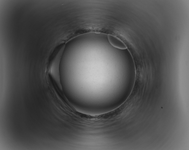 X0000089360692200706291042