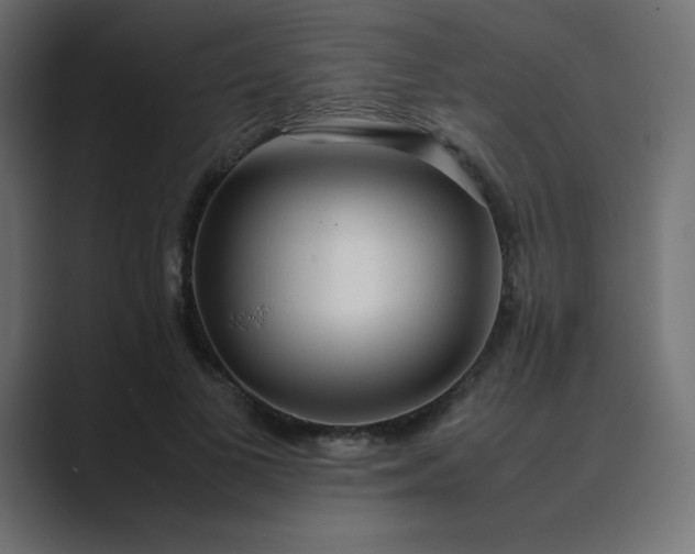 X0000089360693200706291042