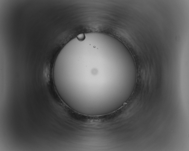 X0000089360694200706291042