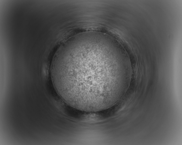 X0000089360695200706291042