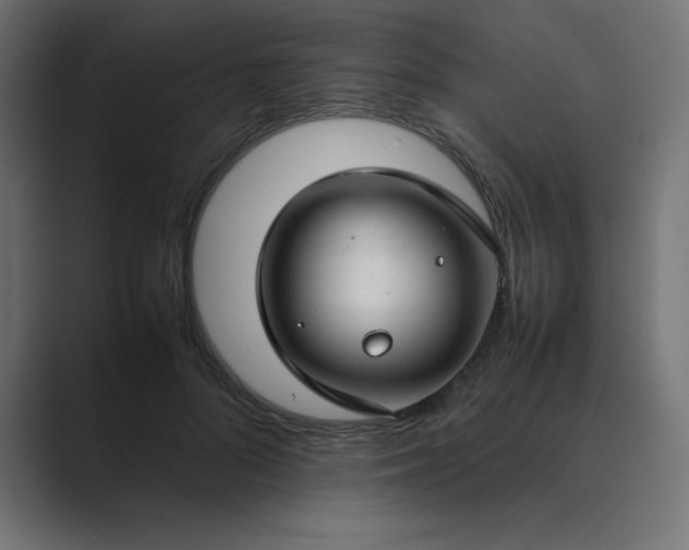 X0000089360696200706291042