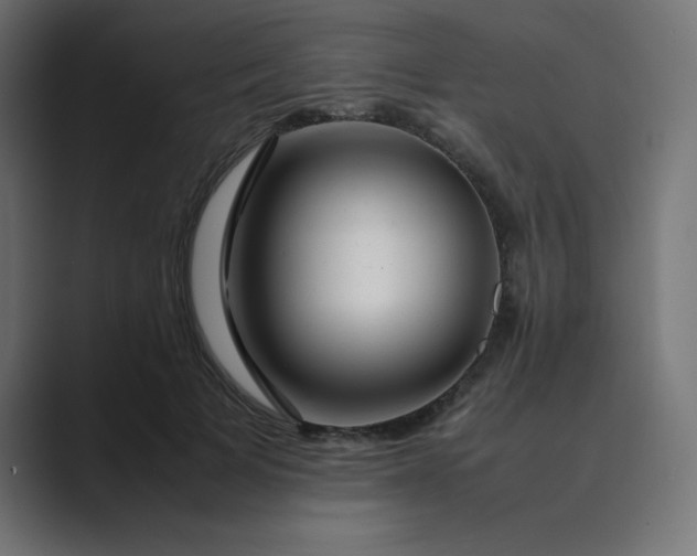 X0000089360697200706291042