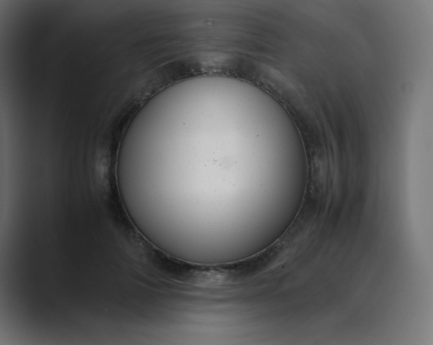 X0000089360698200706291042