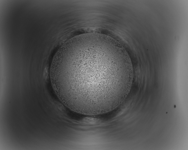 X0000089360699200706291041