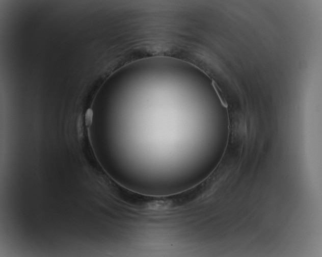 X0000089360700200706291041