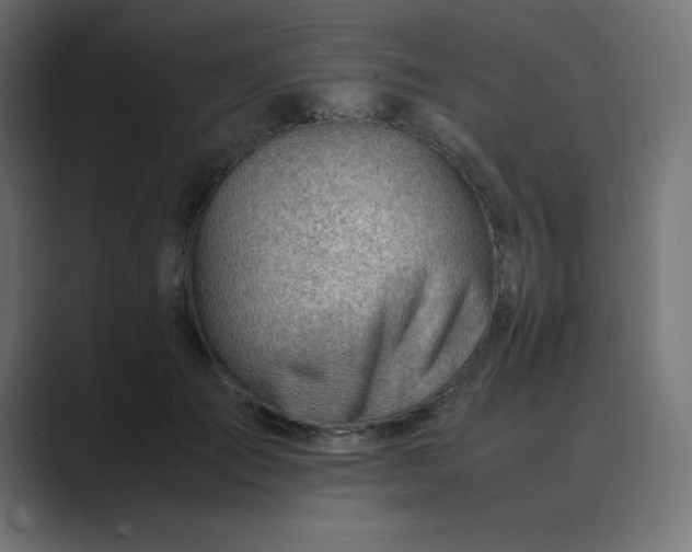 X0000089360701200706291041