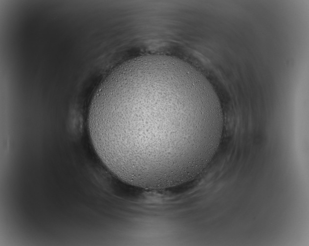 X0000089360703200706291041