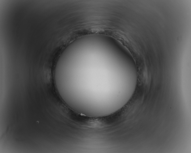 X0000089360704200706291041