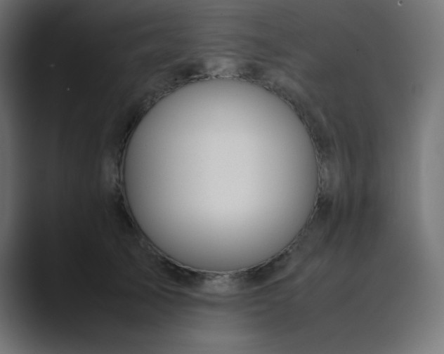 X0000089360705200706291041