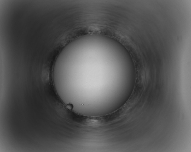 X0000089360706200706291041