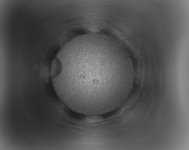 X0000089360707200706291041