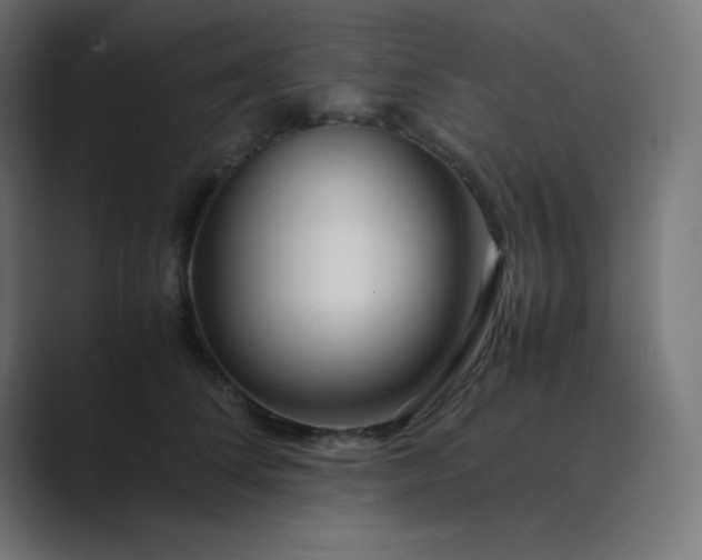 X0000089360708200706291041