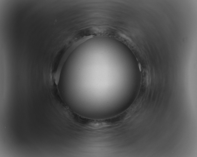 X0000089360712200706291041