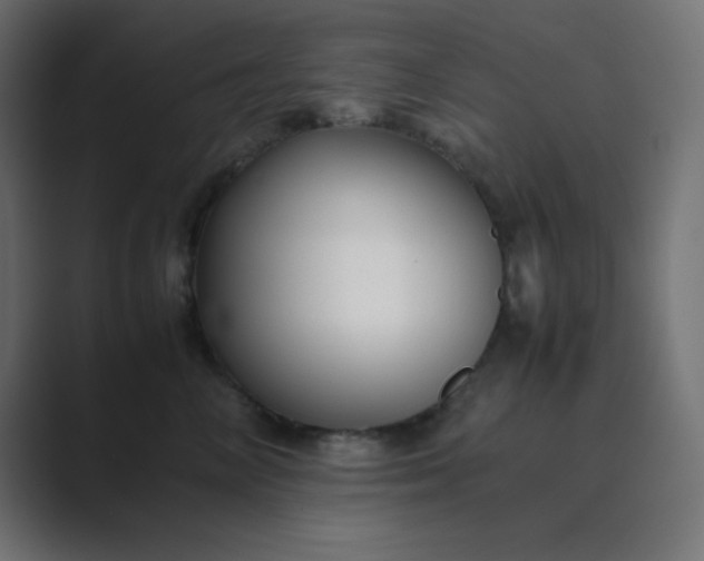 X0000089360714200706291041