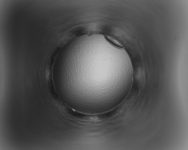 X0000089360715200706291041