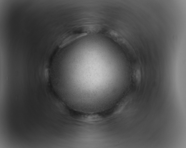 X0000089360716200706291041