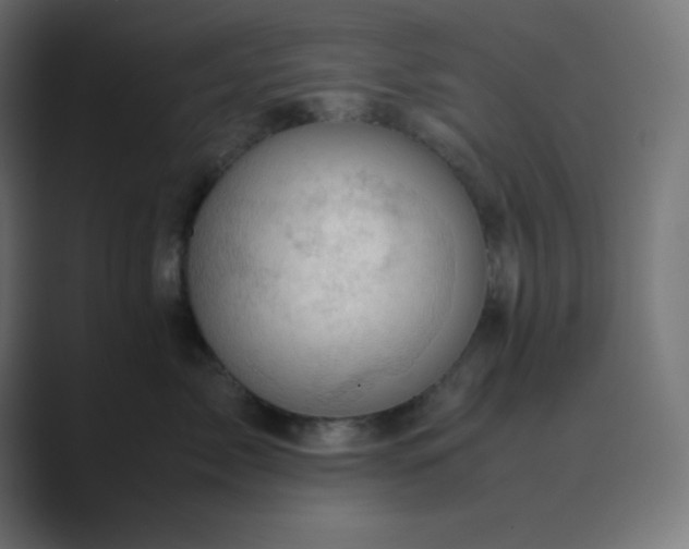 X0000089360717200706291041