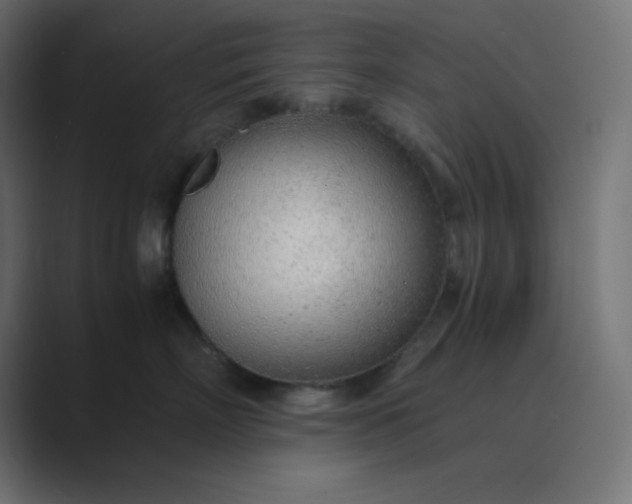 X0000089360718200706291041