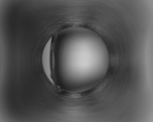 X0000089360719200706291041