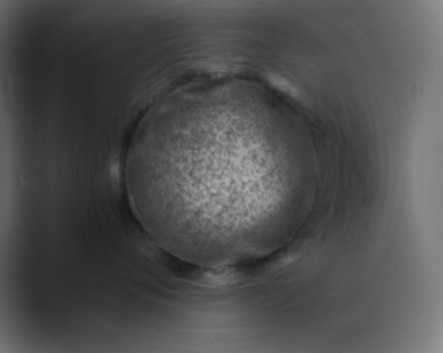 X0000089360720200706291041