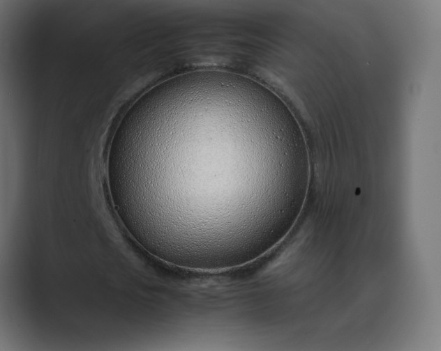 X0000089360721200706291041