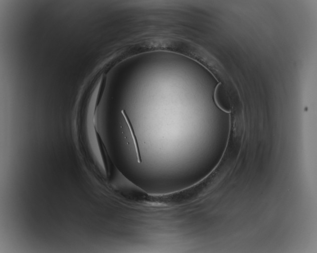 X0000089360722200706291041