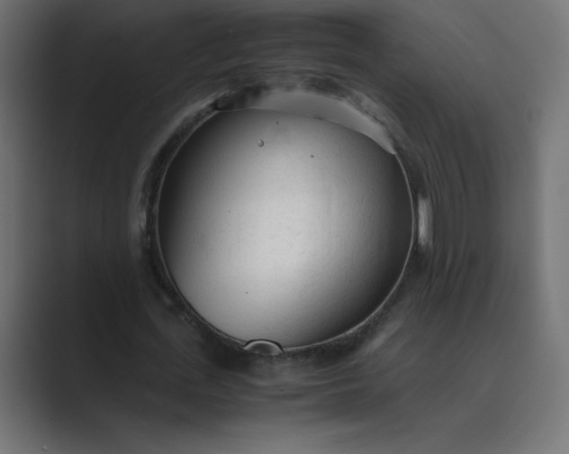 X0000089360723200706291041