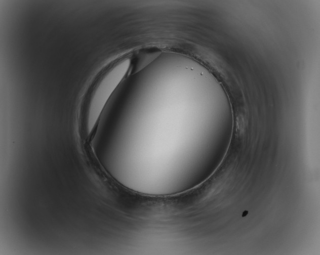 X0000089360724200706291041