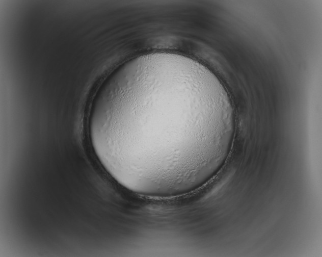 X0000089360725200706291041