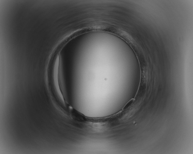 X0000089360726200706291041