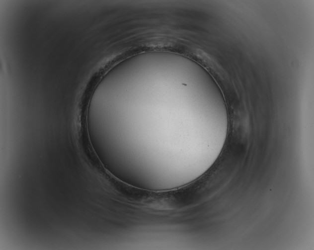 X0000089360727200706291041