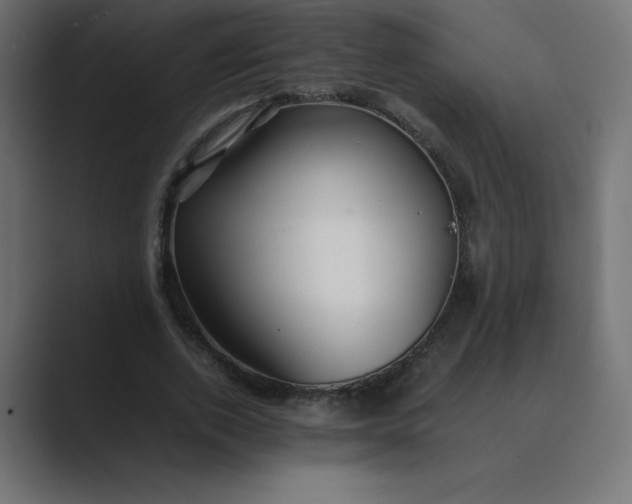 X0000089360728200706291041