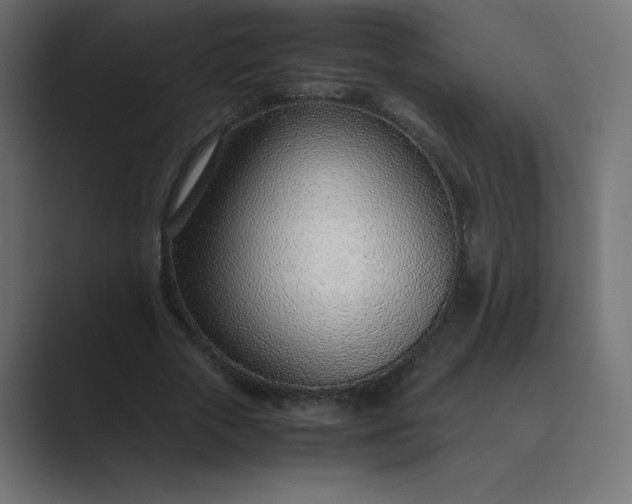 X0000089360729200706291041