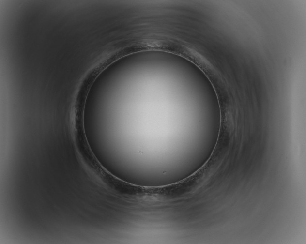 X0000089360730200706291041