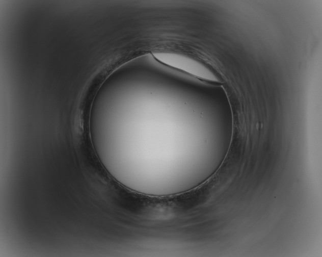 X0000089360731200706291041