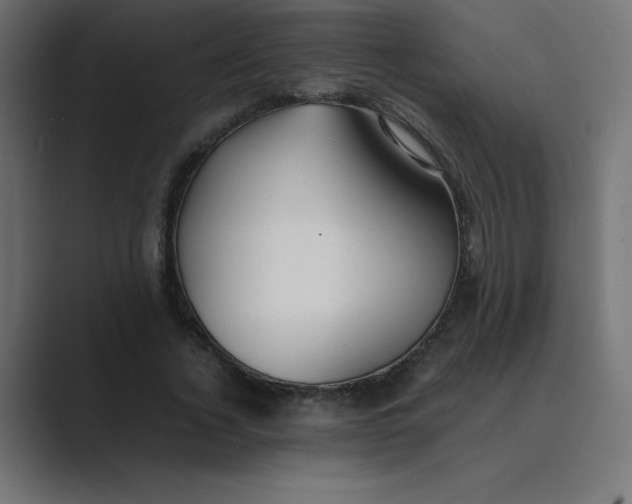 X0000089360732200706291041